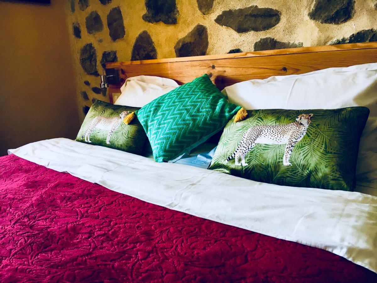Chambre d'Hôtes La Grange des Ecrins Chabottes Extérieur photo